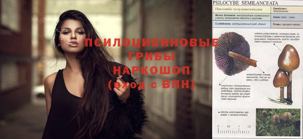 Альфа ПВП Баксан