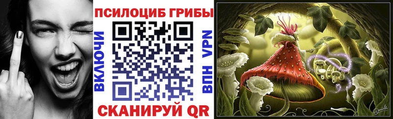 Псилоцибиновые грибы Psilocybe  omg ТОР  Югорск  магазин продажи  