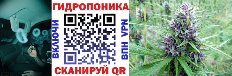 Марихуана конопля  кракен зеркало  Югорск 